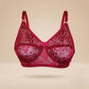 Daily ware Soft Net Bra | Buy One Get One Free
